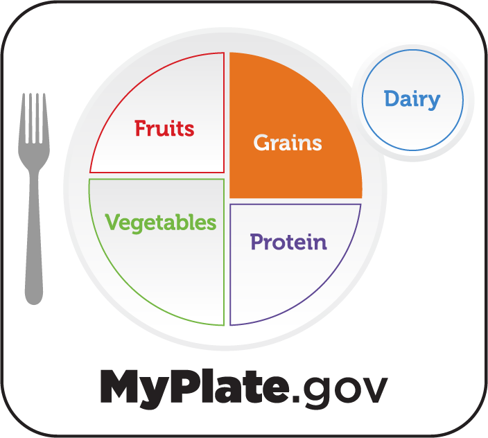 Illustration of a plate with correct portions of food with the grains section highlighted in an orange color.